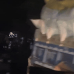 रीवा धान खरीदी केंद्र पर लंबी लाइन और अव्यवस्था