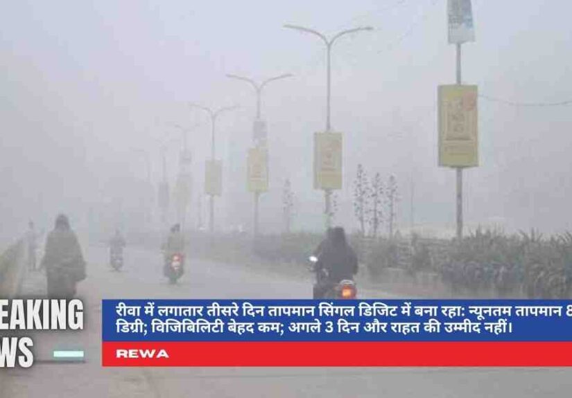 रीवा में कोहरे और ठंड के चलते सड़क पर वाहनों की धीमी रफ्तार